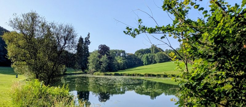 Etang de la Goguerie - Authon du Perche